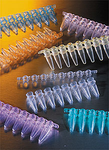 Tiras de 8 tubos para PCR Thermowell® (Amplificación del ADN)